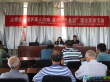 大桥镇多元活动赓续红色基因