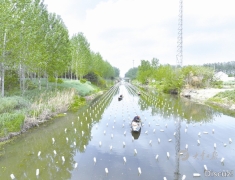 西团镇巧念“珍珠经”串起生态经济发展链