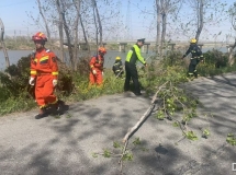 大风吹倒树木阻路 交警消防合力清路障保畅通