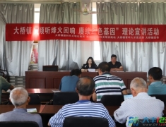 大桥镇多元活动赓续红色基因