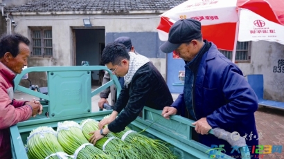 丰华街道：地标蒜薹迎丰收 畅通销路助振兴