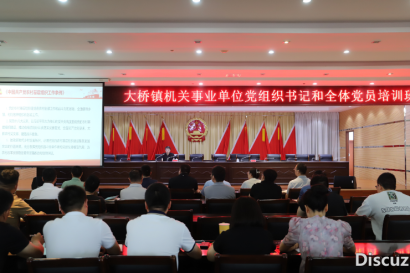 大桥镇举办党组织建设专题培训 筑牢基层发展根基