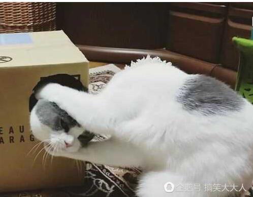0.jpg