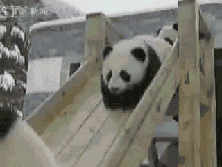 0.gif