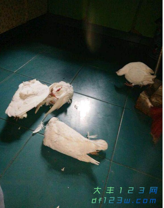 0.jpg