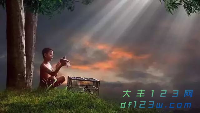 0.jpg