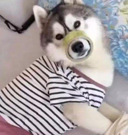 0.jpg