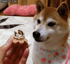 0.gif