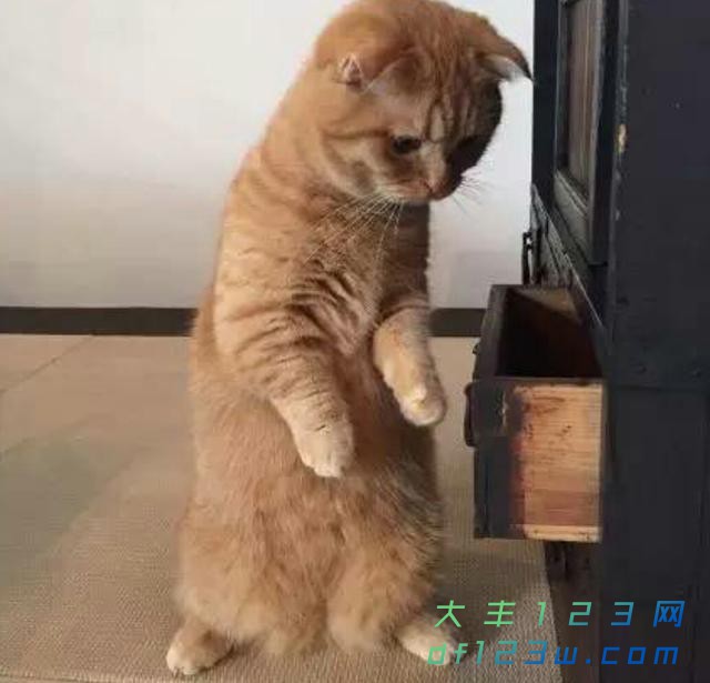0.jpg