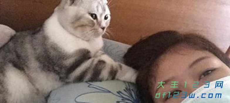 0.jpg