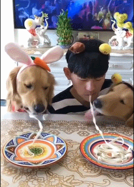 0.gif