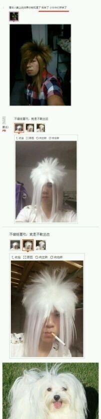 0.jpg