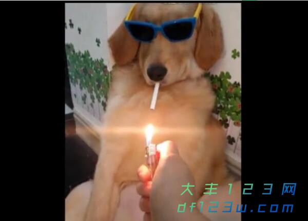 0.jpg