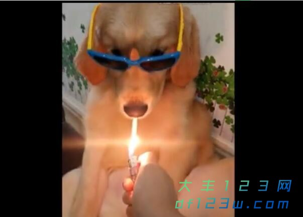 0.jpg
