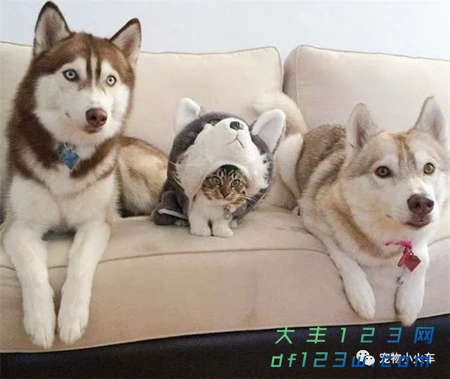 0.jpg
