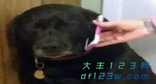 0.jpg