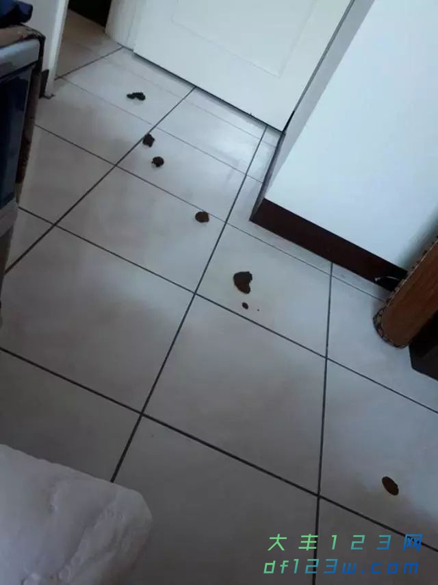 0.jpg