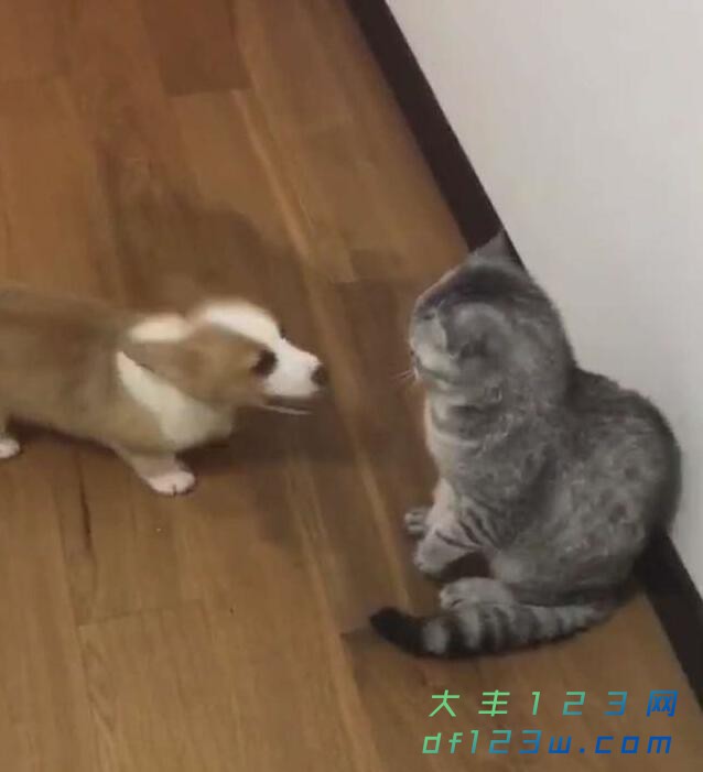 0.jpg