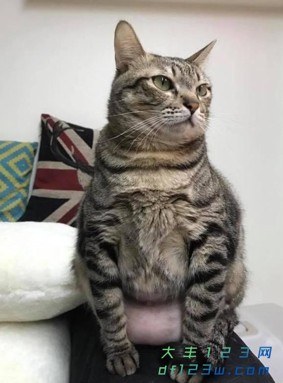 0.jpg