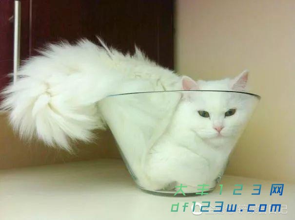 0.jpg