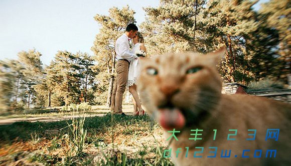 0.jpg