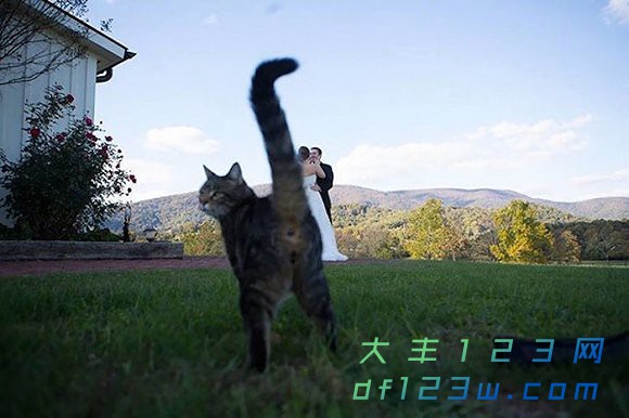 0.jpg