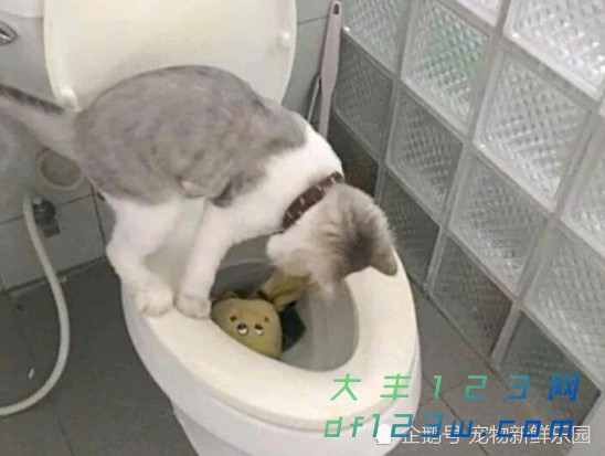 0.jpg