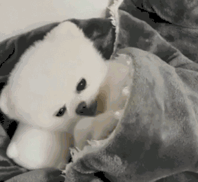 0.gif