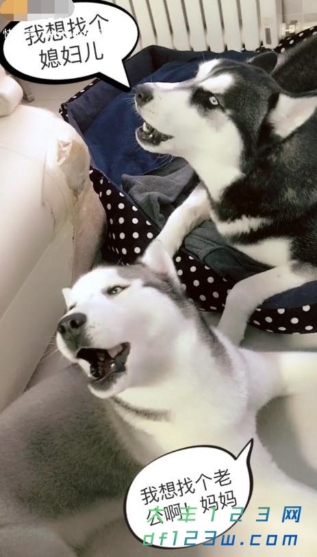 0.jpg