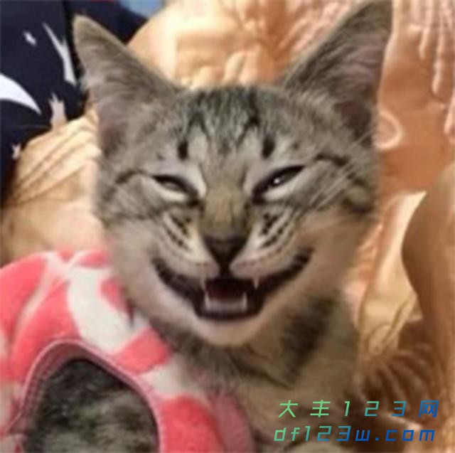 0.jpg