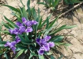 u=846223095,4084257475&amp;fm=76.jpg