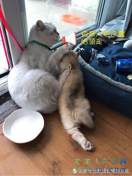 0.jpg