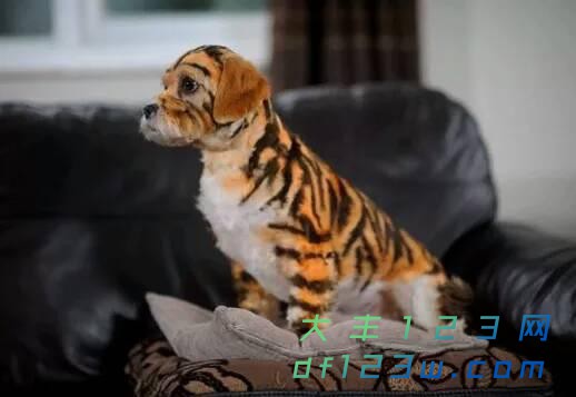 0.jpg