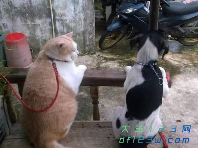 0.jpg