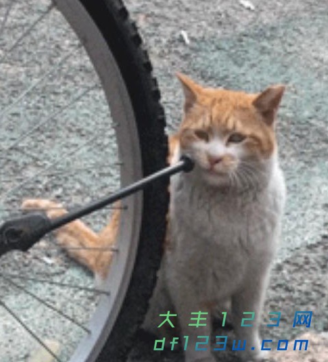 0.jpg