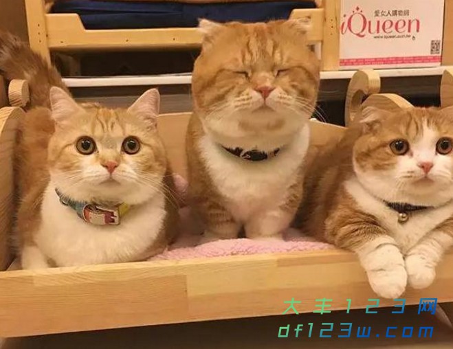 0.jpg