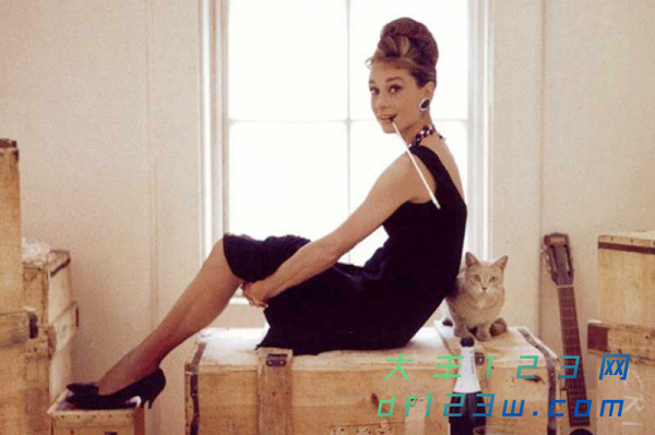 af6ab06199d3cba_size271_w600_h399.png