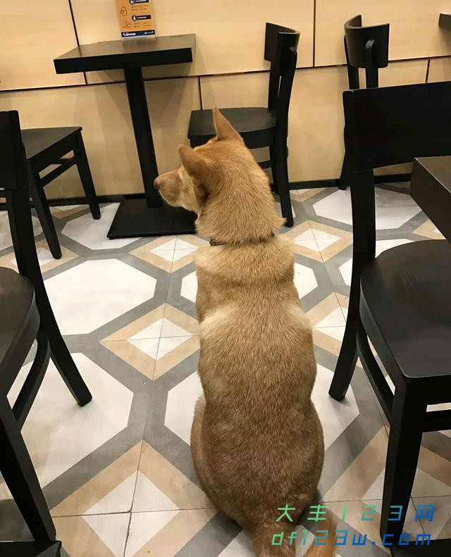 0.jpg