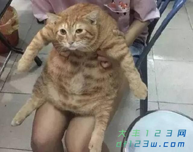 0.jpg