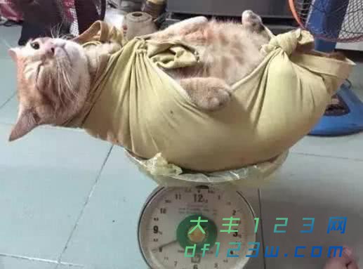 0.jpg
