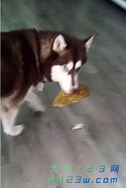 0.jpg
