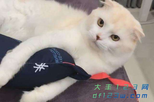 0.jpg