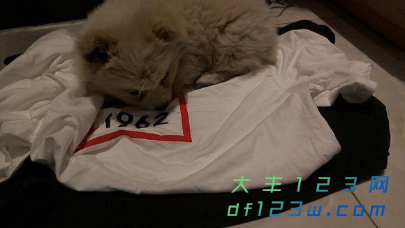 0.jpg