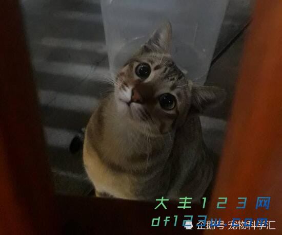 0.jpg