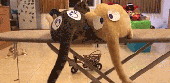 3246476e515c465caf7951d9e48b12e1.gif