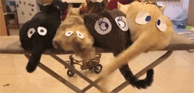3246476e515c465caf7951d9e48b12e1.gif