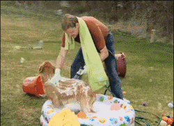 a7522bb84b8e4fb1ab40b16d4b344e94.gif