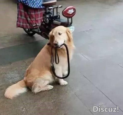 0.jpg