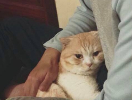 0.jpg