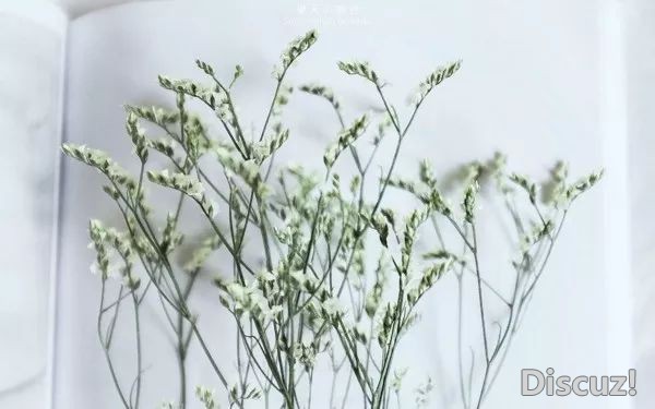 微信图片_20180423082955.jpg